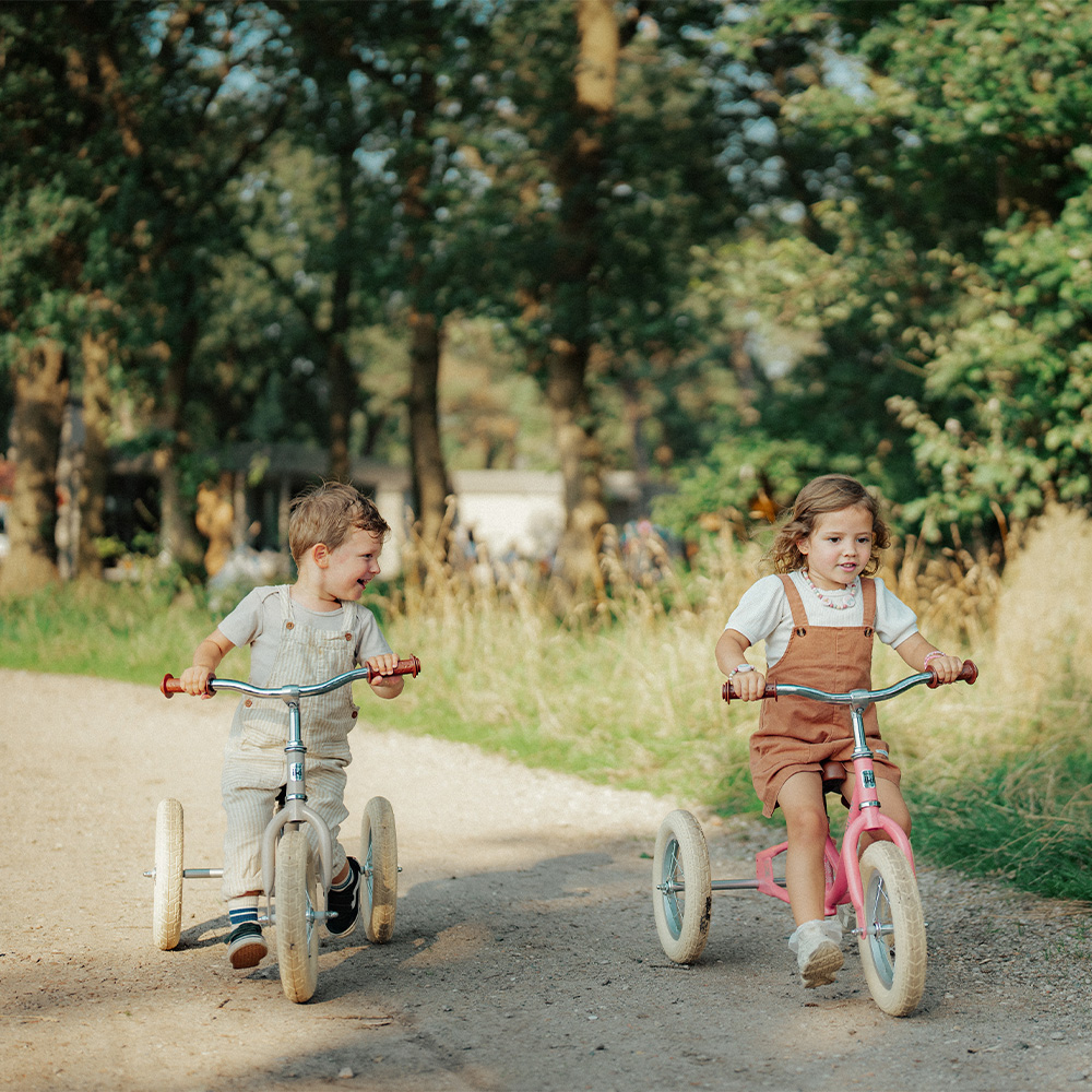 Tricycle set Balance bike